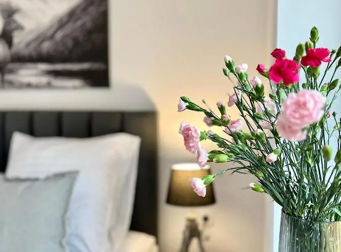 アパートホテル Nosal & Wine 3*