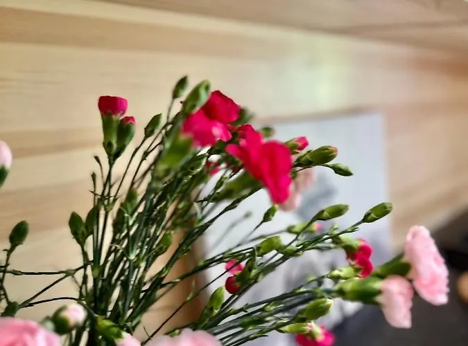 Nosal & Wine アパートホテル