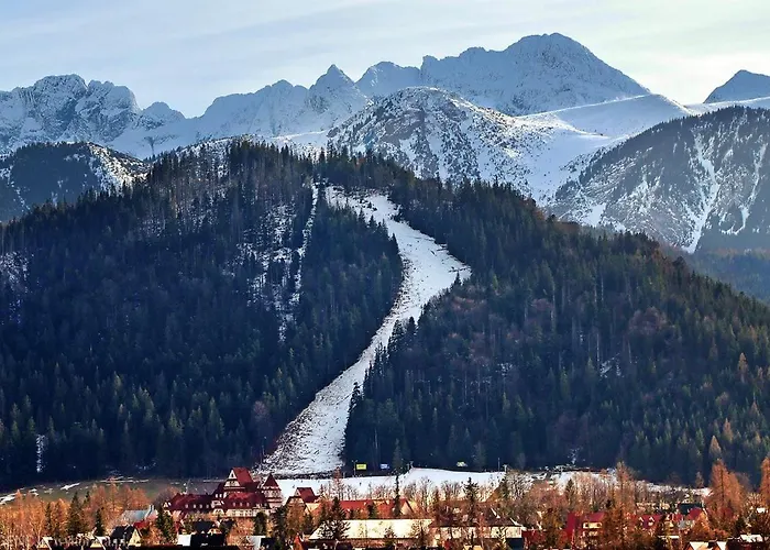 Nosal & Wine アパートホテル ザコパネ